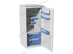 Холодильник Pelgrim PKD7122F/P01 (239823, HKI2028BF) - Фото